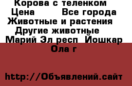 Корова с теленком › Цена ­ 69 - Все города Животные и растения » Другие животные   . Марий Эл респ.,Йошкар-Ола г.